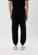 Брюки спортивные EA73  - превью