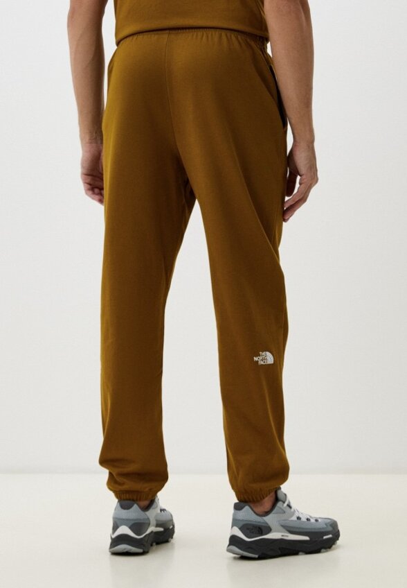 Брюки спортивные The North Face