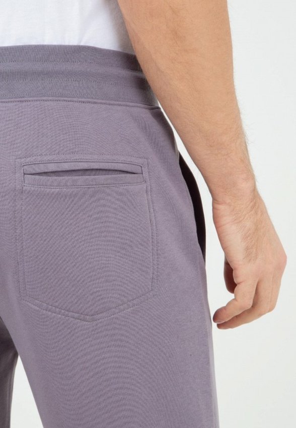 Брюки спортивные Thomas Berger