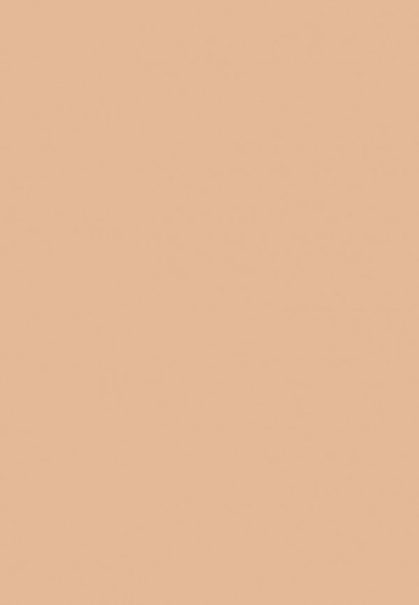 Пудра компактная Ga-De