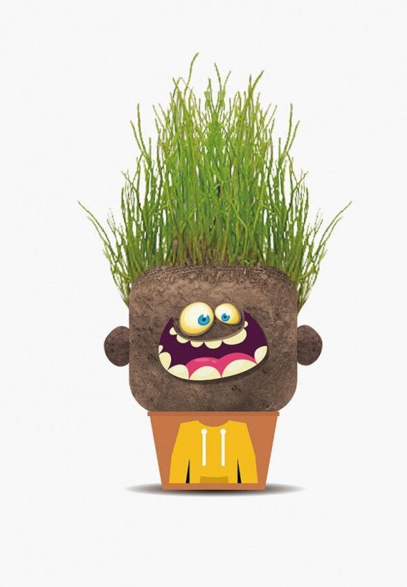 Набор игровой Hape