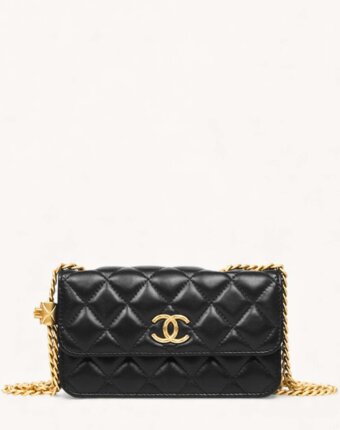 Chanel WOC женщинам