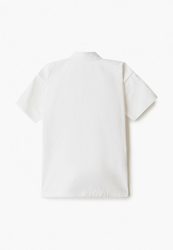 Кимоно Олэйт Групп