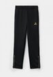 Брюки спортивные Demix1  - превью