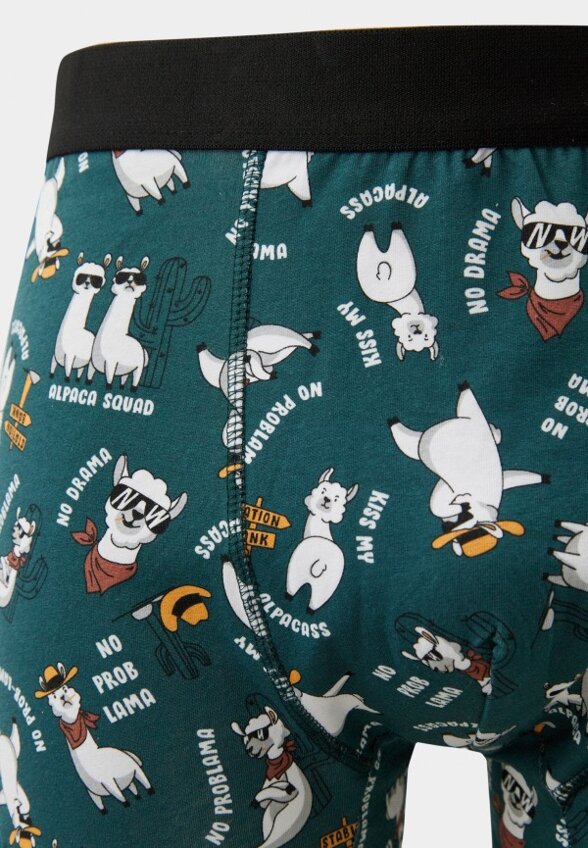 Трусы 2 шт. Funday