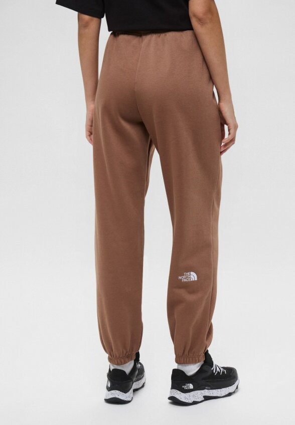 Брюки спортивные The North Face