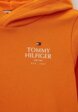 Худи Tommy Hilfiger3  - превью