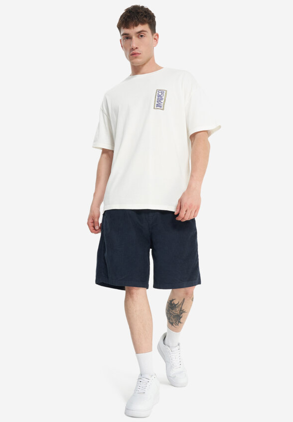 Шорты мужские Quiksilver Taxer Cord, Синий