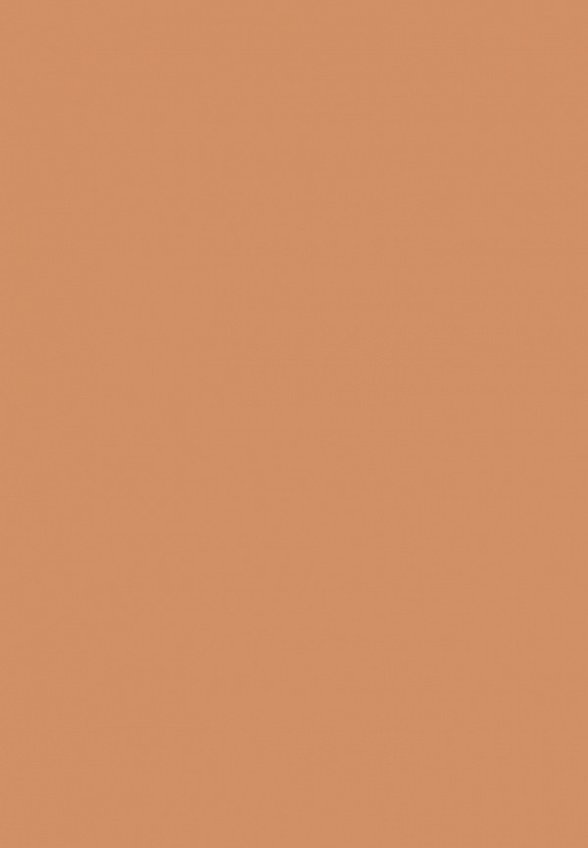 Пудра компактная Kiko Milano