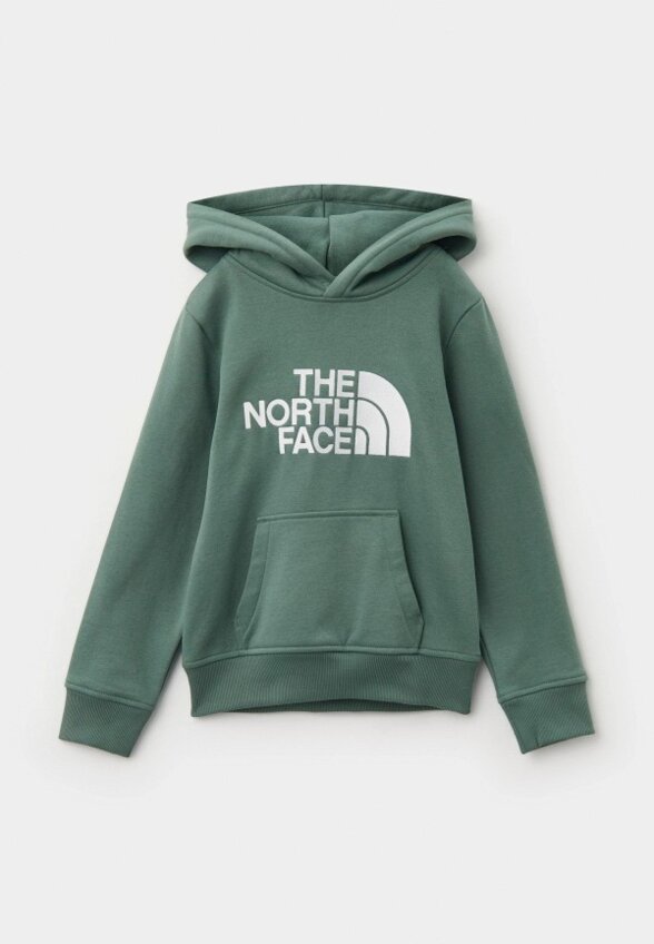 Худи The North Face