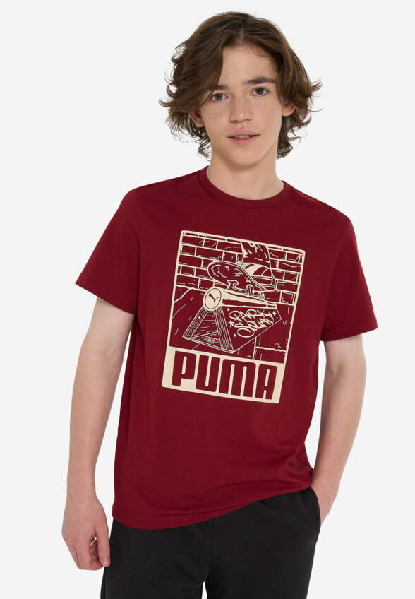 Футболка для мальчиков PUMA ESS+ Mid 90s Graphic, Красный