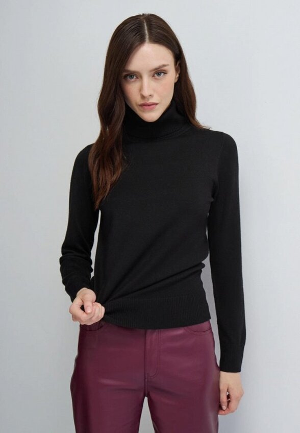 Водолазка Vittoria Vicci