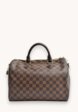 Louis Vuitton Speedy1  - превью