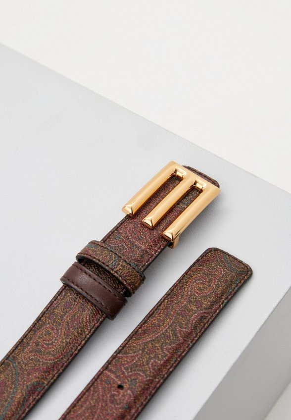 Ремень Etro