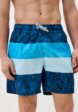 Шорты для плавания Ritter3  - превью