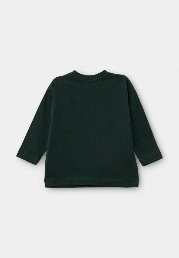 Лонгслив Pelican