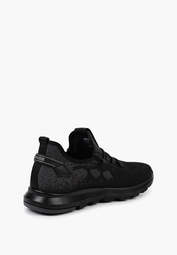 Кроссовки Briggs