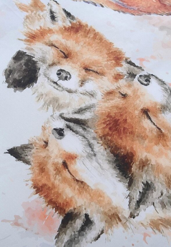 Постельное белье Евро Mona Liza