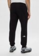 Брюки спортивные The North Face3  - превью