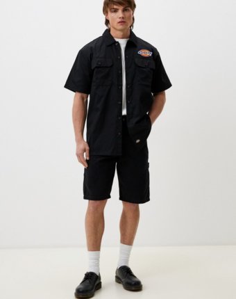 Шорты Dickies мужчинам