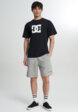 Футболка мужская DC Shoes Star, Черный3  - превью