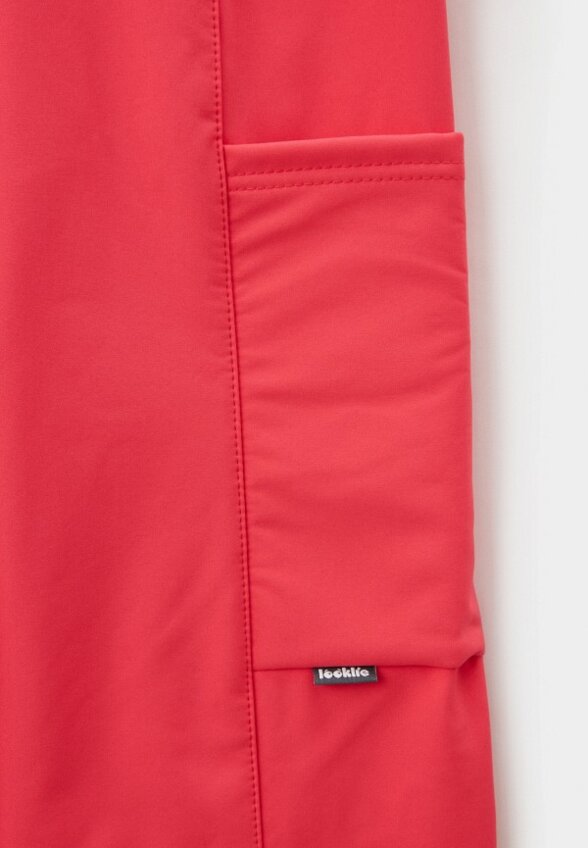 Брюки утепленные Looklie