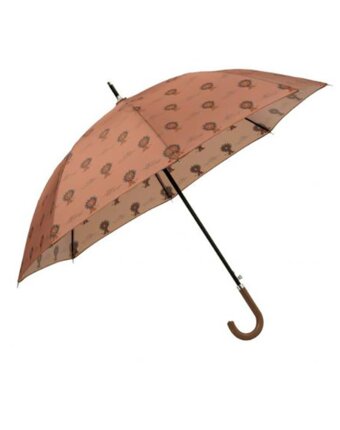 Детский зонтик Фрэск (Fresk) "Африканский лев", коричневый женщинам