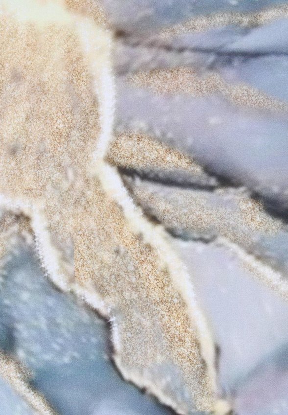 Постельное белье Евро Mona Liza