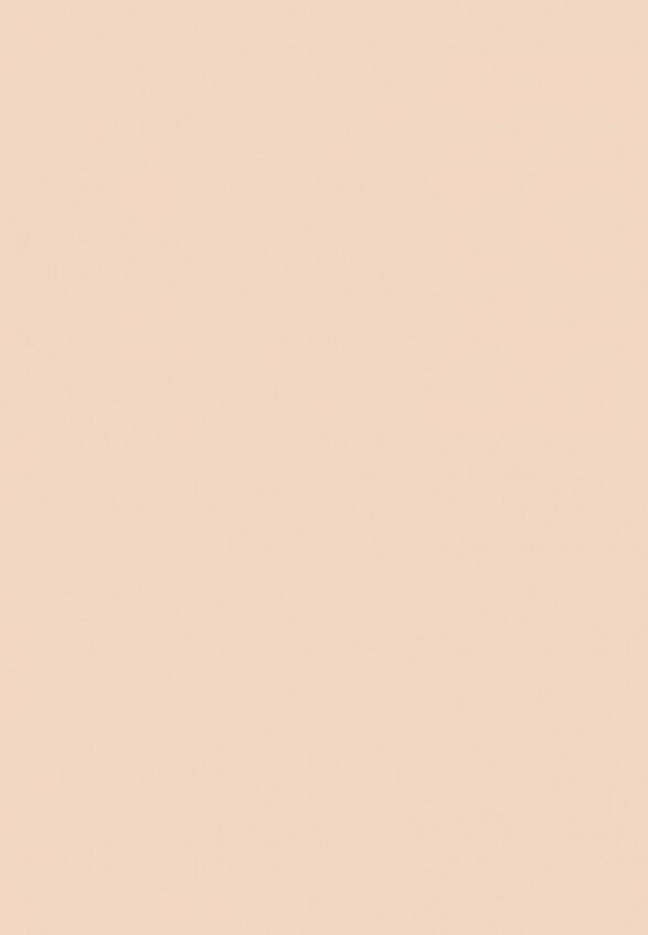 Пудра компактная Ga-De