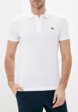 Поло Lacoste1  - превью