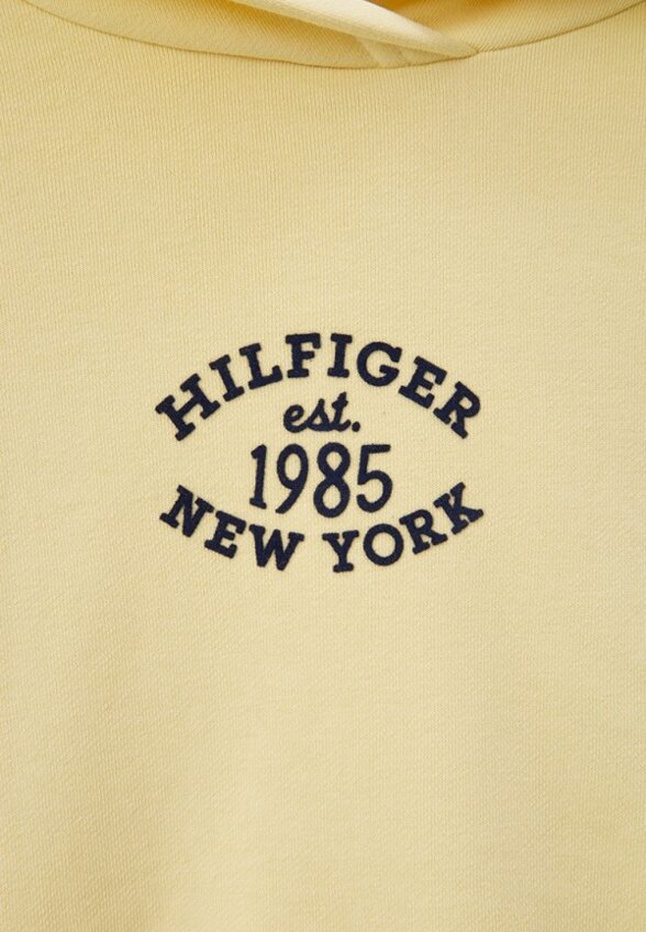 Худи Tommy Hilfiger