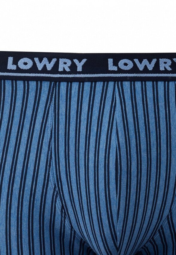 Трусы Lowry Collection