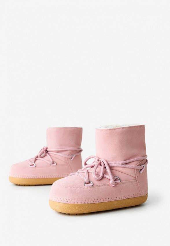 Луноходы Wysh