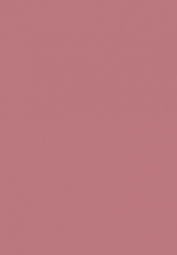 Набор для макияжа губ Golden Rose