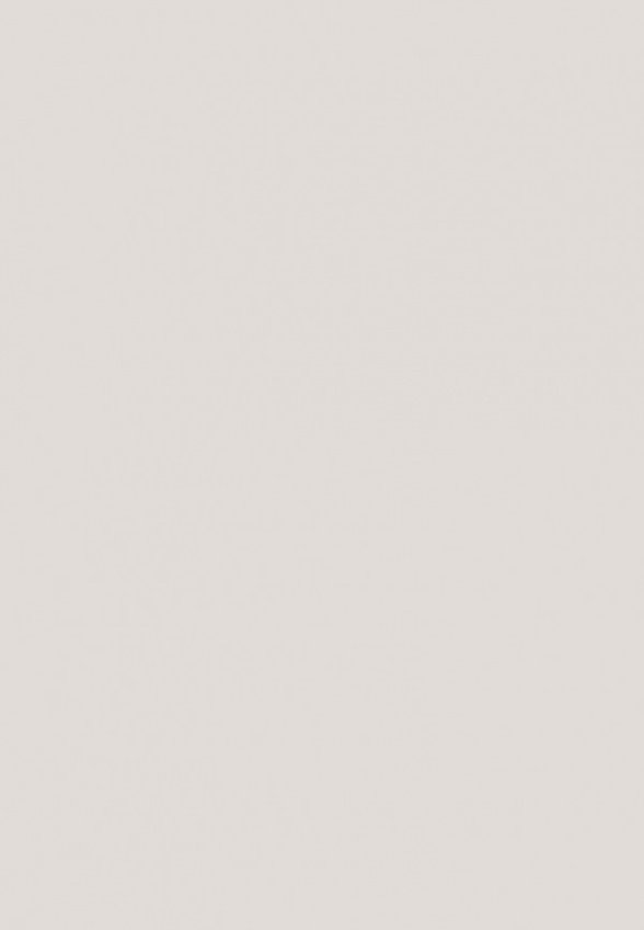 Пудра рассыпчатая Zeesea