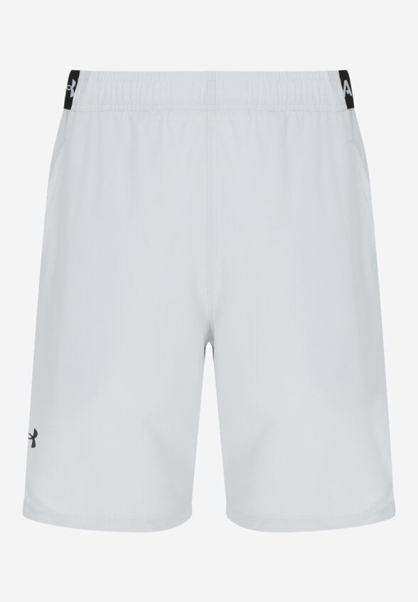 Шорты мужские Under Armour, Серый