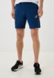 Шорты спортивные Demix1  - превью