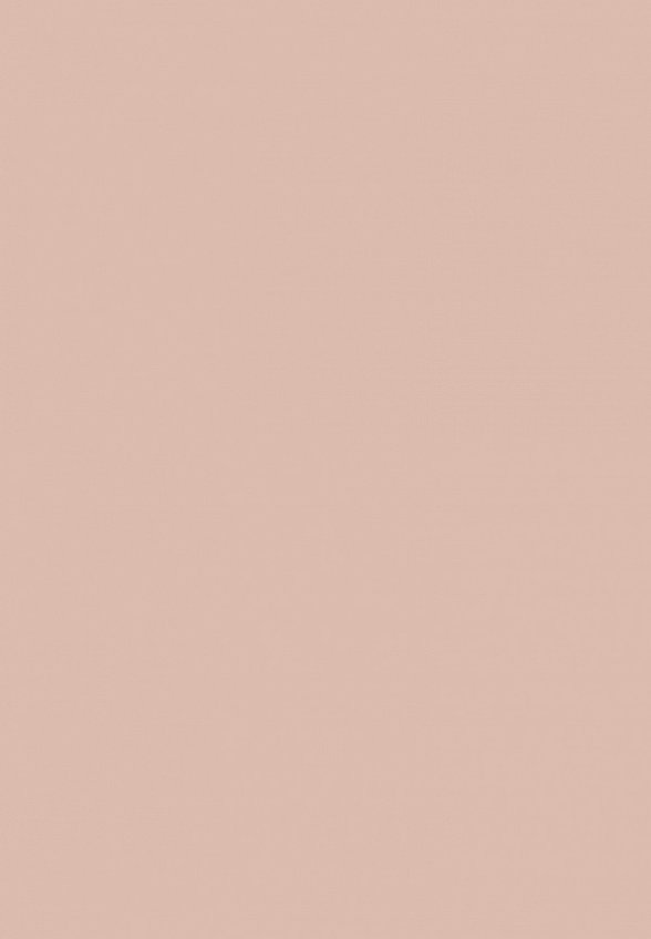 Тональная основа Influence Beauty