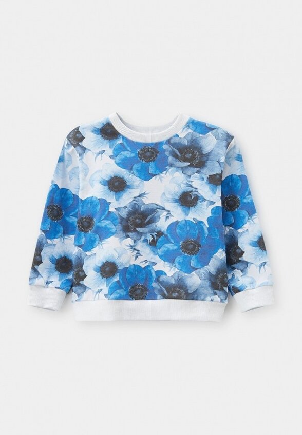 Свитшот Lingora