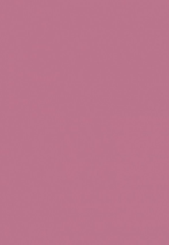 Карандаш для губ Astra