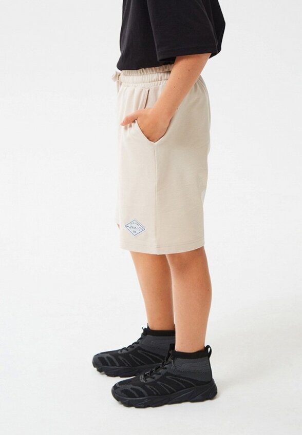 Шорты спортивные Smena