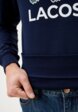 Свитшот Lacoste4  - превью