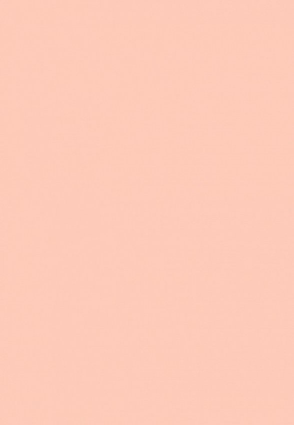 Хайлайтер MAC