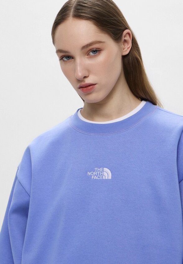 Свитшот The North Face