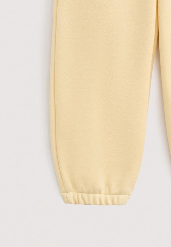 Брюки спортивные Loomknits