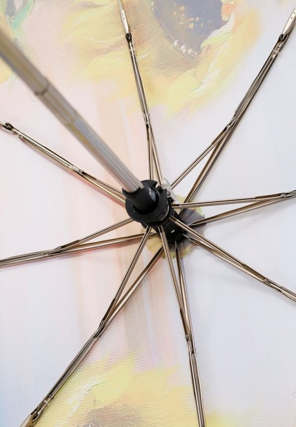 Зонт складной Trust