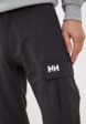 Брюки спортивные Helly Hansen4  - превью