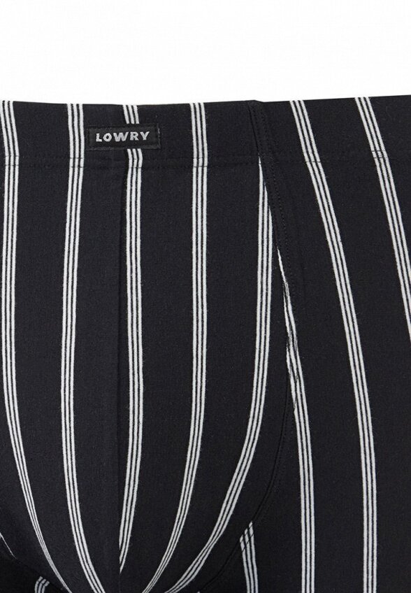 Трусы Lowry Collection