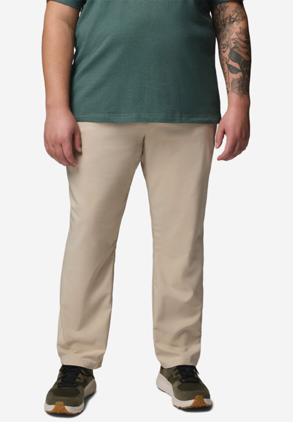 Брюки мужские Columbia Sage Peak Chino Pant, Бежевый