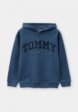 Худи Tommy Hilfiger1  - превью